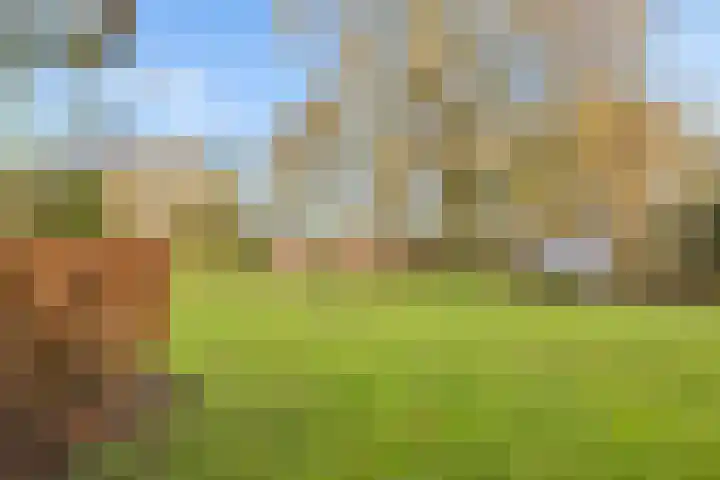 Vogelwikke 27 Zeeland thumbnail 55
