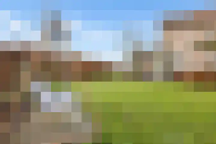 Vogelwikke 27 Zeeland thumbnail 56