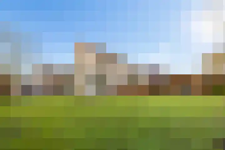 Vogelwikke 27 Zeeland thumbnail 58