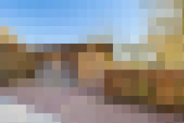 Vogelwikke 27 Zeeland thumbnail 64