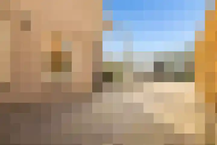 Vogelwikke 27 Zeeland thumbnail 67