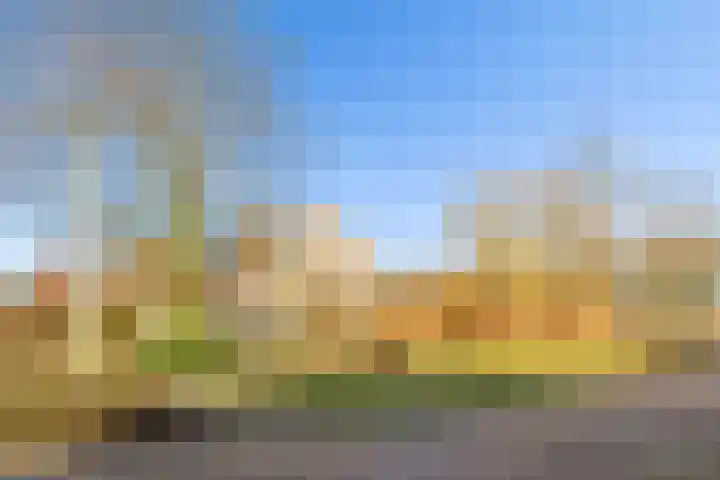 Vogelwikke 27 Zeeland thumbnail 68
