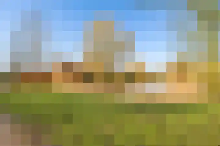 Vogelwikke 27 Zeeland thumbnail 69