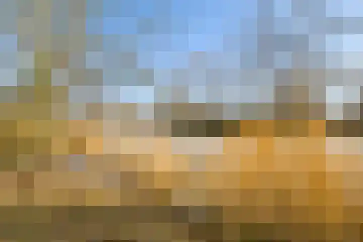 Vogelwikke 27 Zeeland thumbnail 71