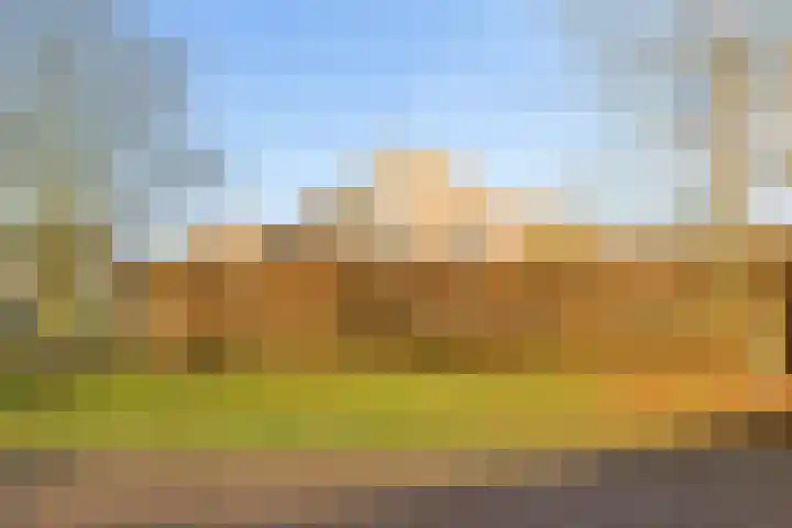 Vogelwikke 27 Zeeland thumbnail 72