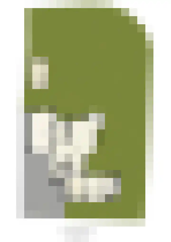 Vogelwikke 27 Zeeland thumbnail 77