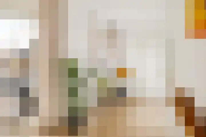 Vogelwikke 27 Zeeland thumbnail 9