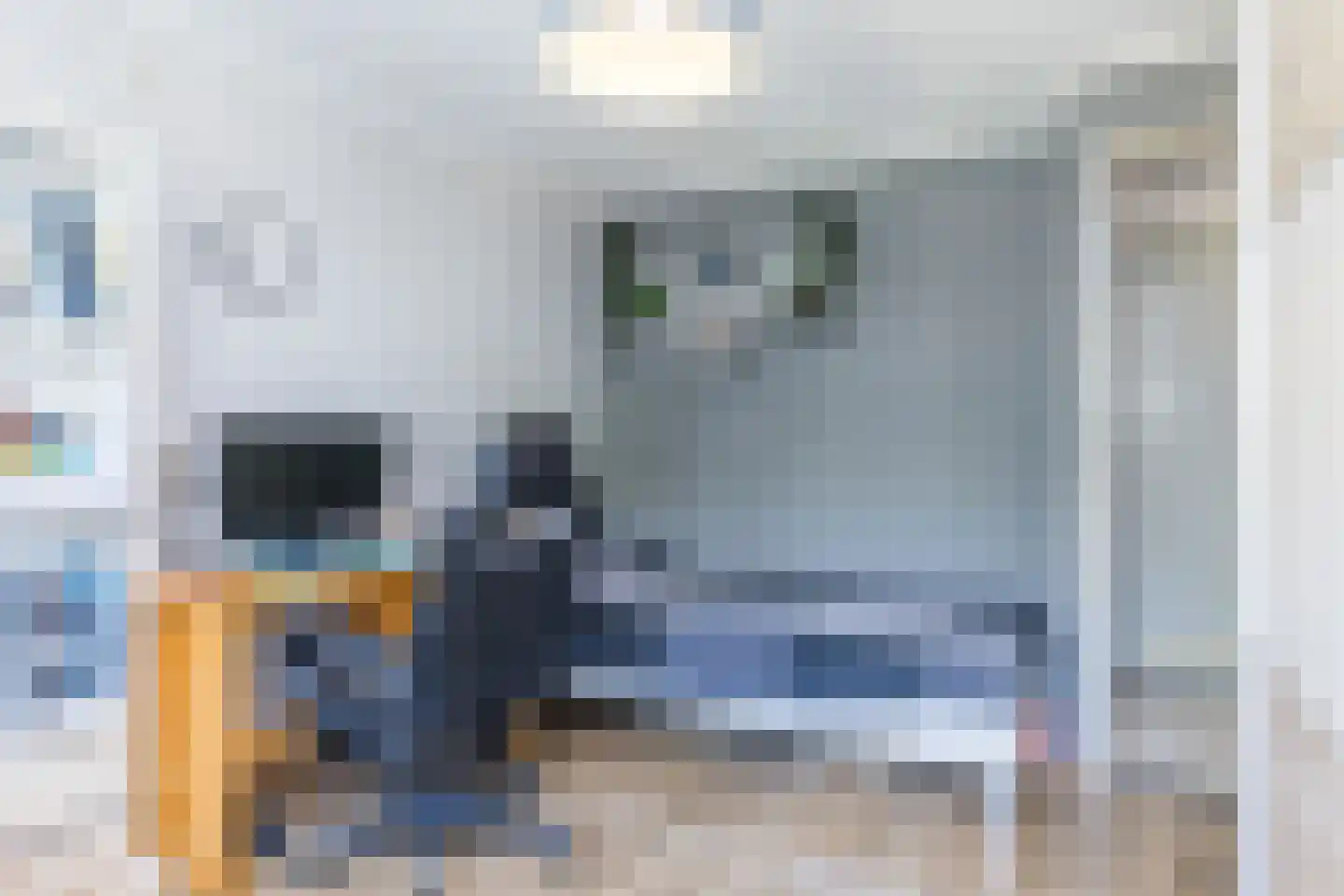 Vogelwikke 28 Brunssum thumbnail 17