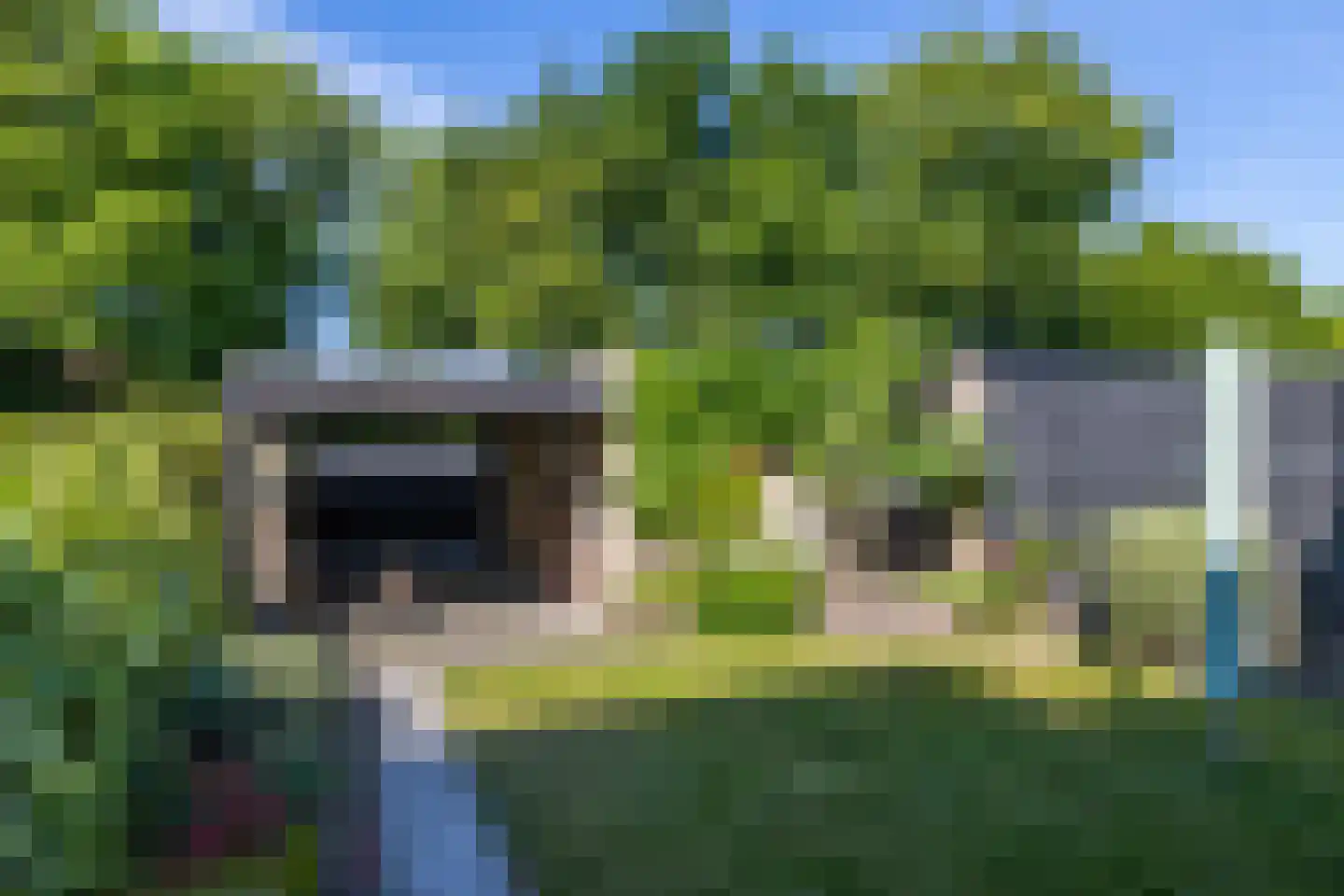 Vogelwikke 28 Brunssum thumbnail 24