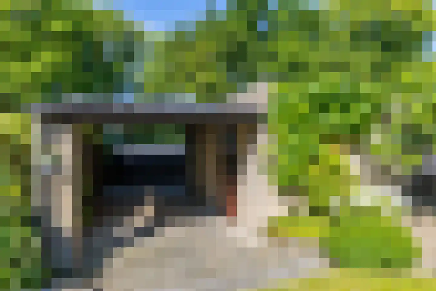 Vogelwikke 28 Brunssum thumbnail 28