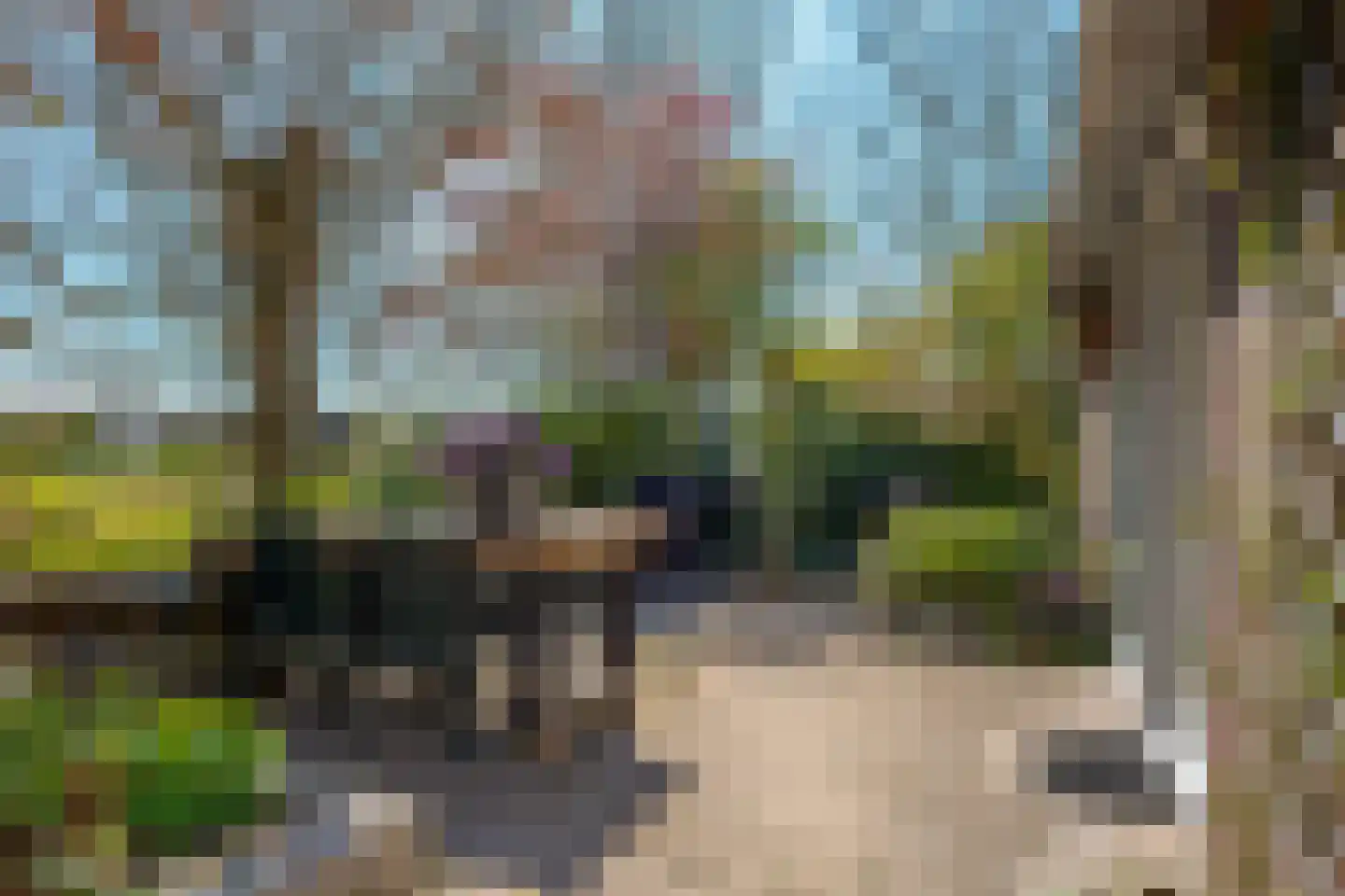 Vogelwikke 28 Roden thumbnail 10