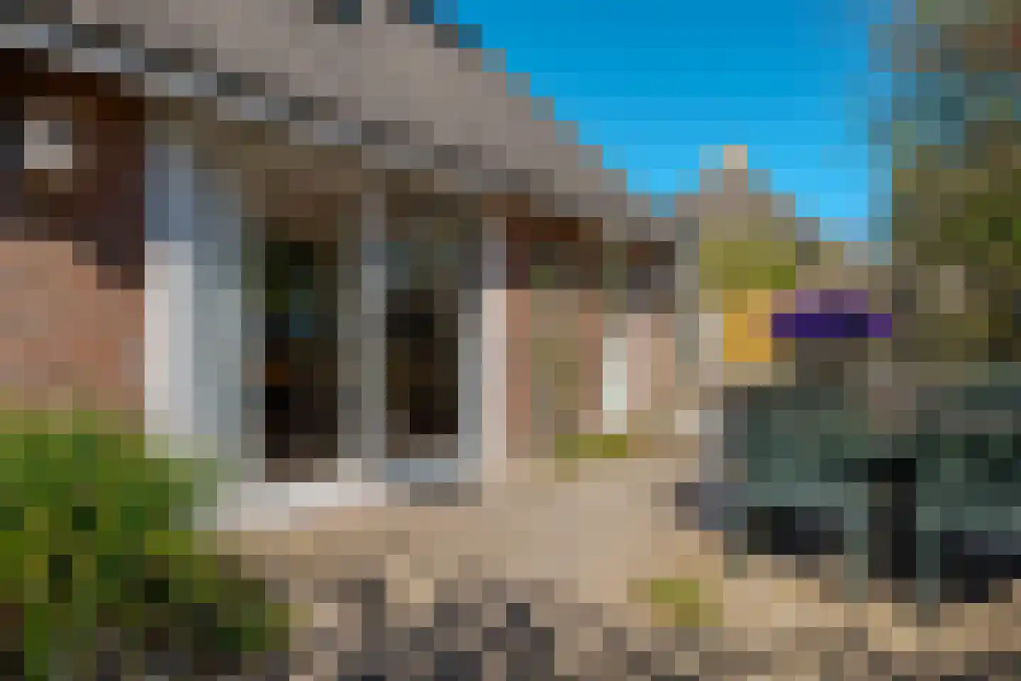 Vogelwikke 28 Roden thumbnail 11