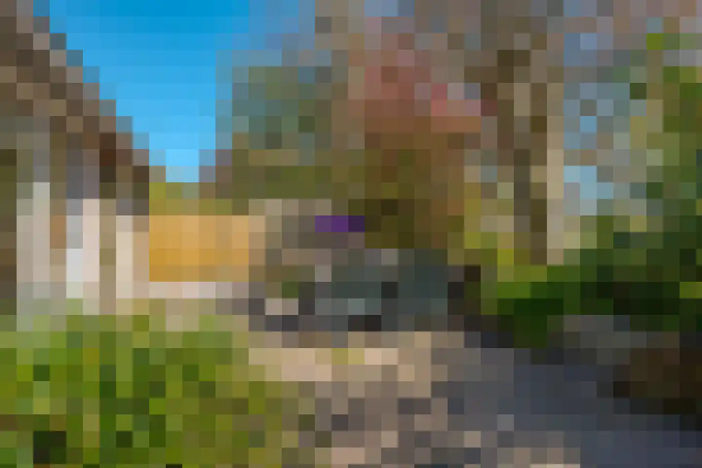 Vogelwikke 28 Roden thumbnail 12
