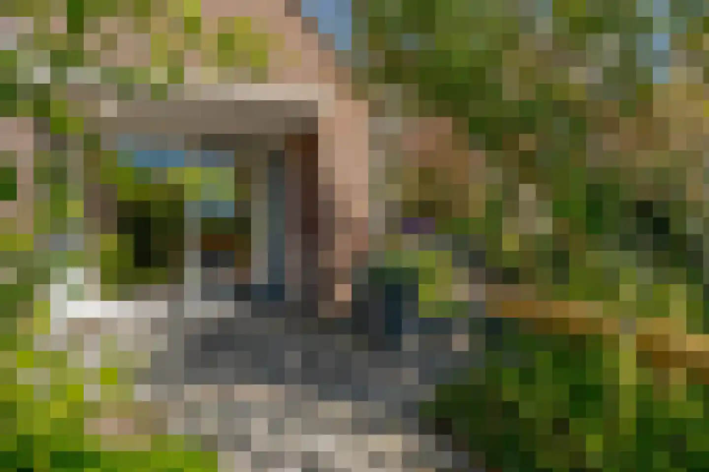 Vogelwikke 28 Roden thumbnail 13