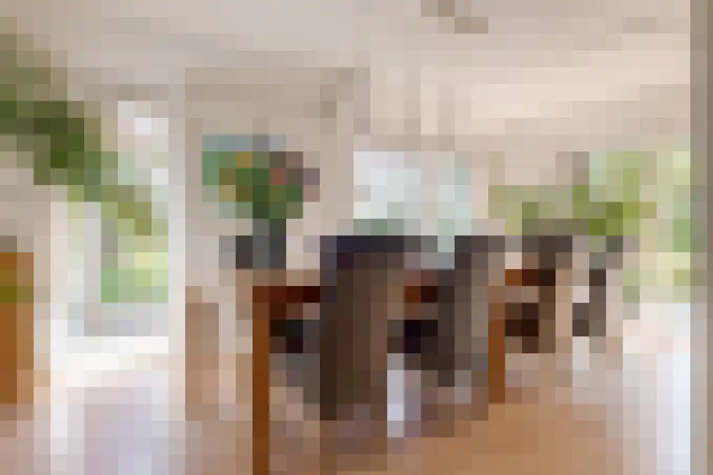 Vogelwikke 28 Roden thumbnail 14