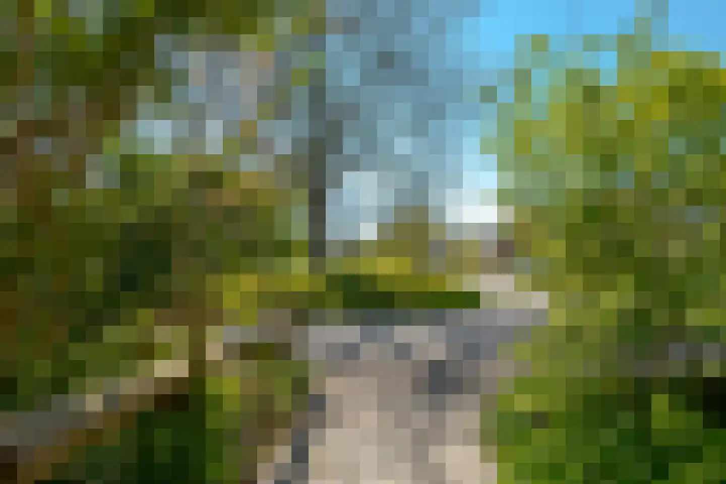 Vogelwikke 28 Roden thumbnail 14