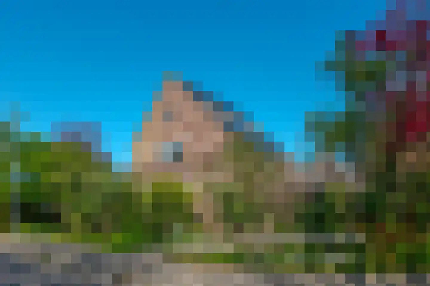Vogelwikke 28 Roden thumbnail 15