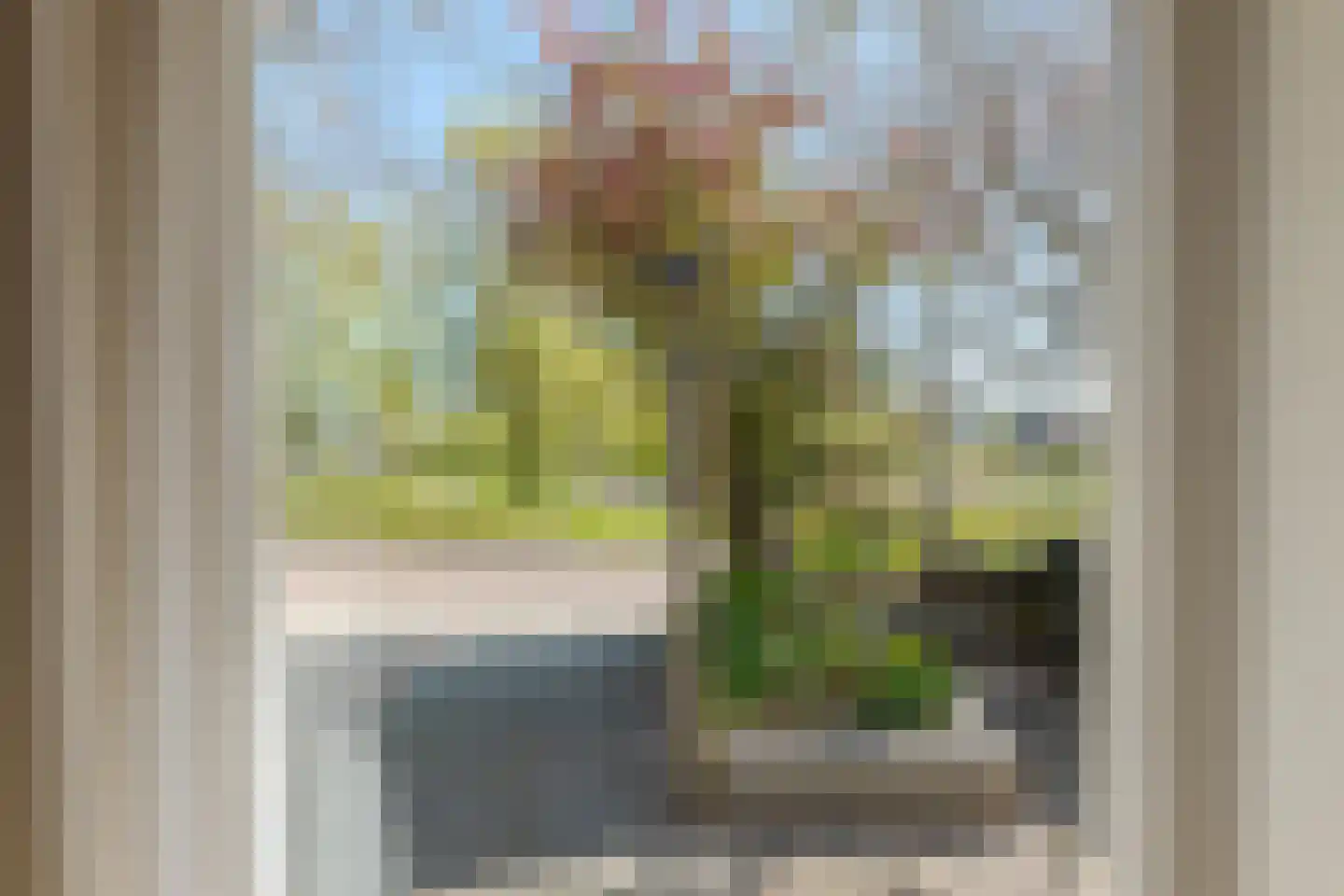 Vogelwikke 28 Roden thumbnail 15