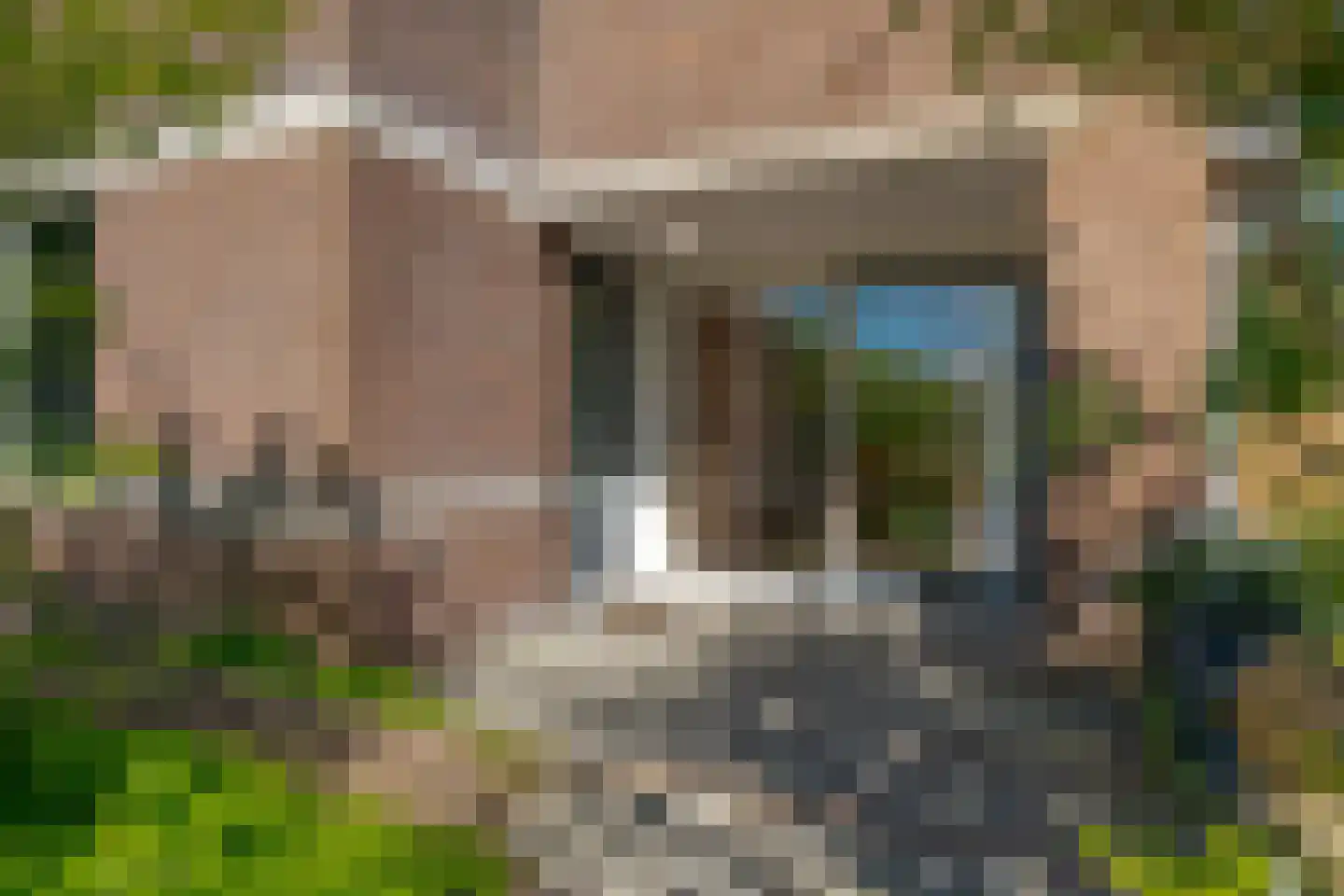 Vogelwikke 28 Roden thumbnail 16