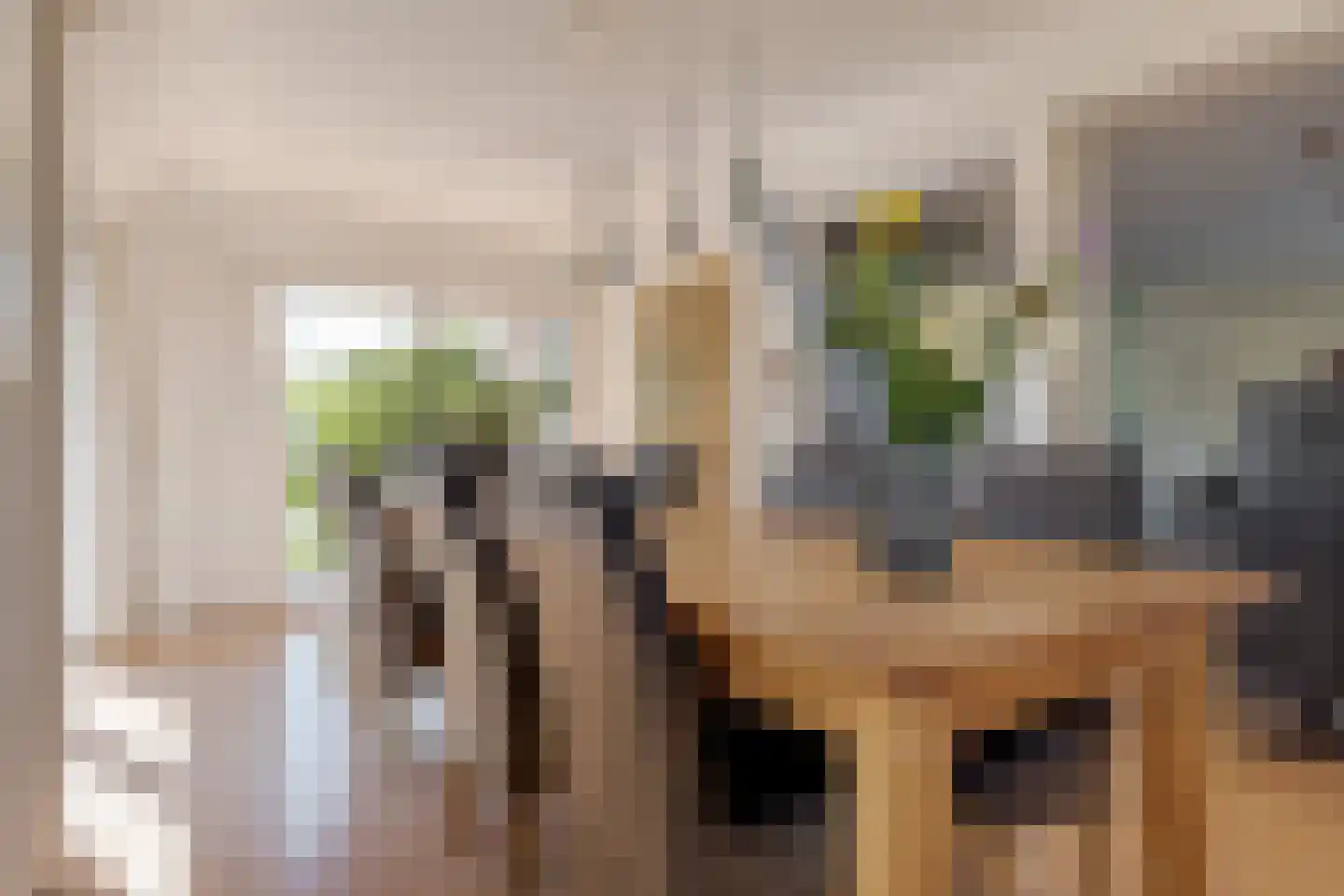 Vogelwikke 28 Roden thumbnail 17