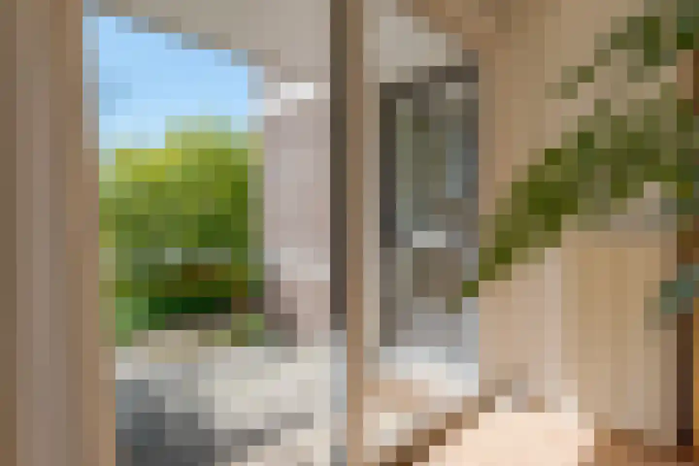 Vogelwikke 28 Roden thumbnail 19