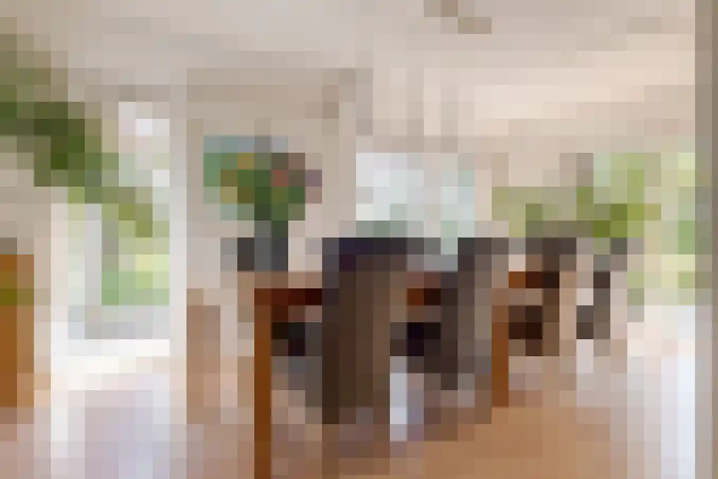 Vogelwikke 28 Roden thumbnail 23
