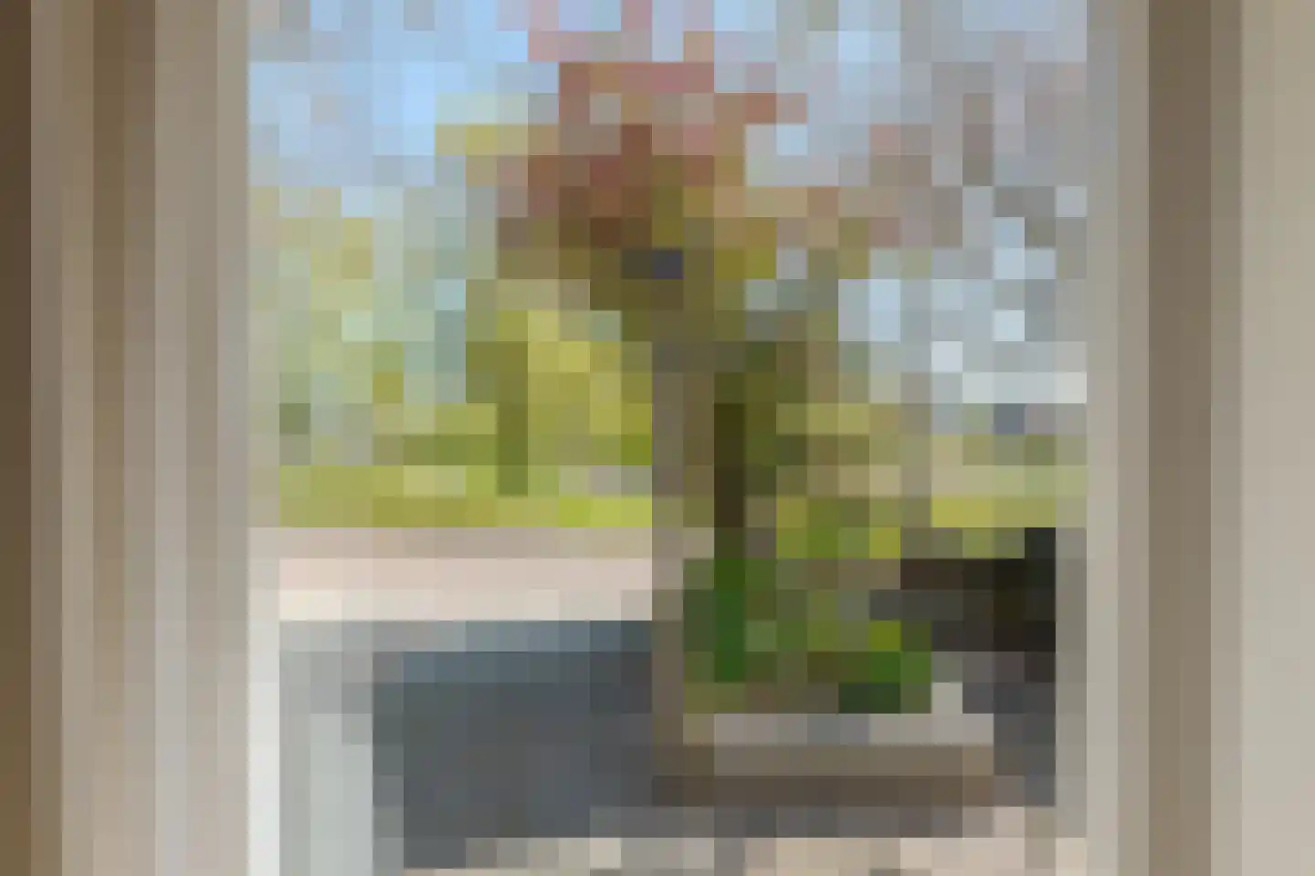 Vogelwikke 28 Roden thumbnail 24