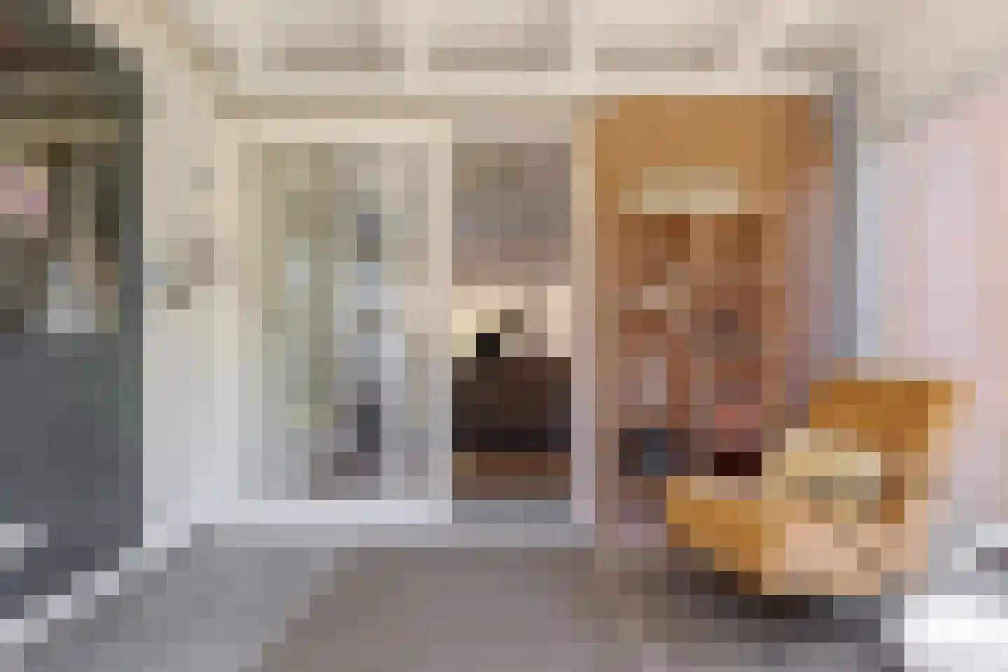Vogelwikke 28 Roden thumbnail 30