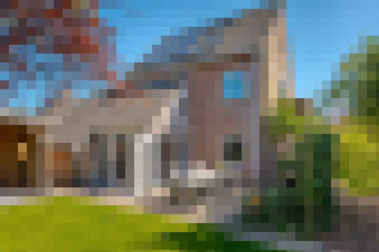 Vogelwikke 28 Roden thumbnail 41