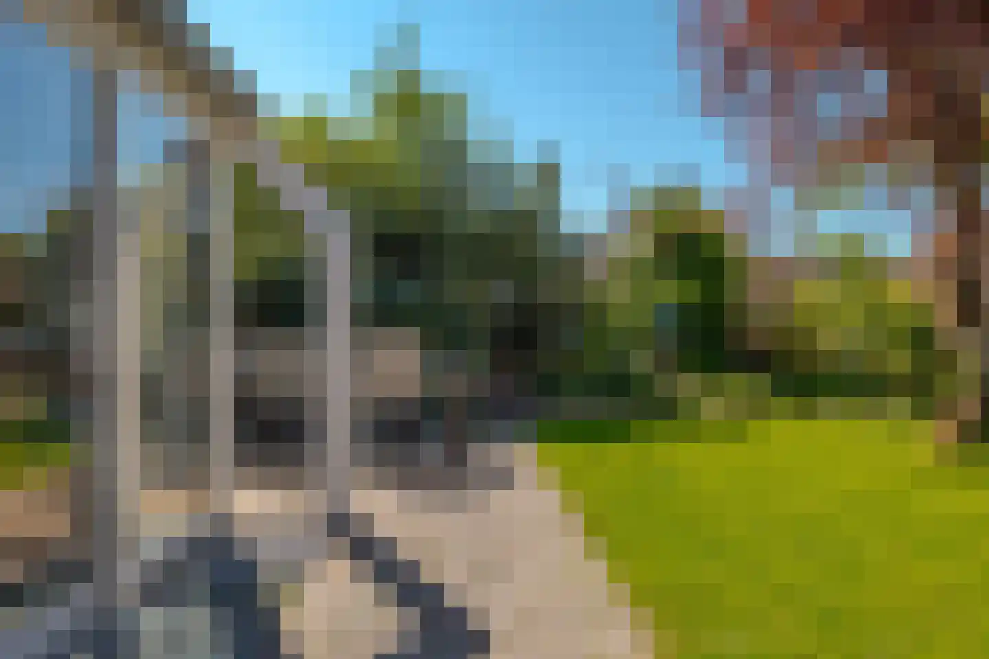 Vogelwikke 28 Roden thumbnail 43