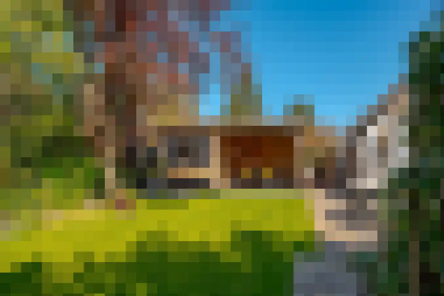 Vogelwikke 28 Roden thumbnail 44