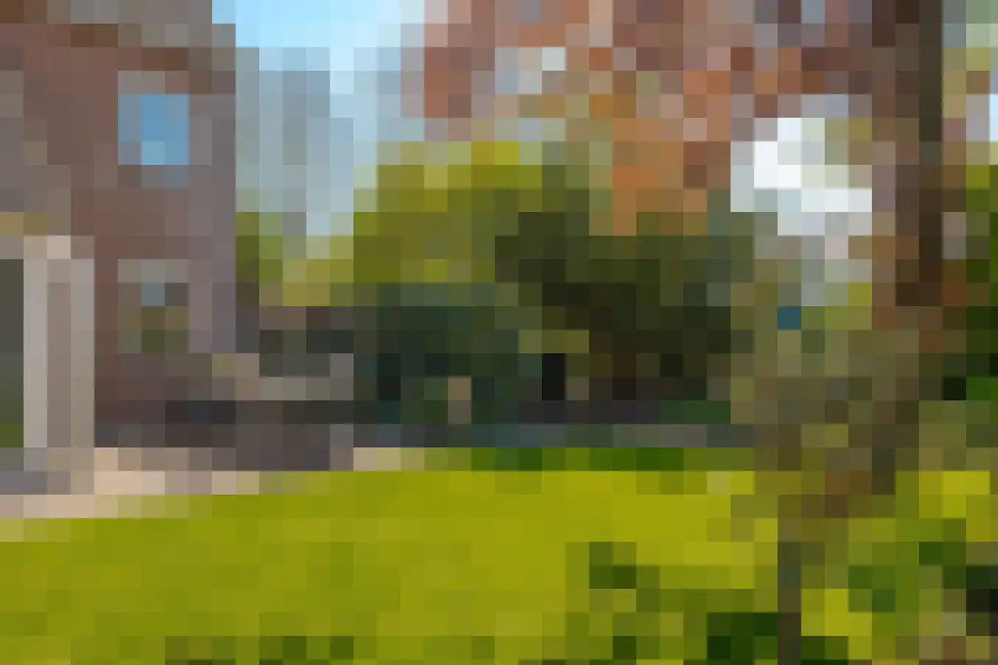 Vogelwikke 28 Roden thumbnail 45