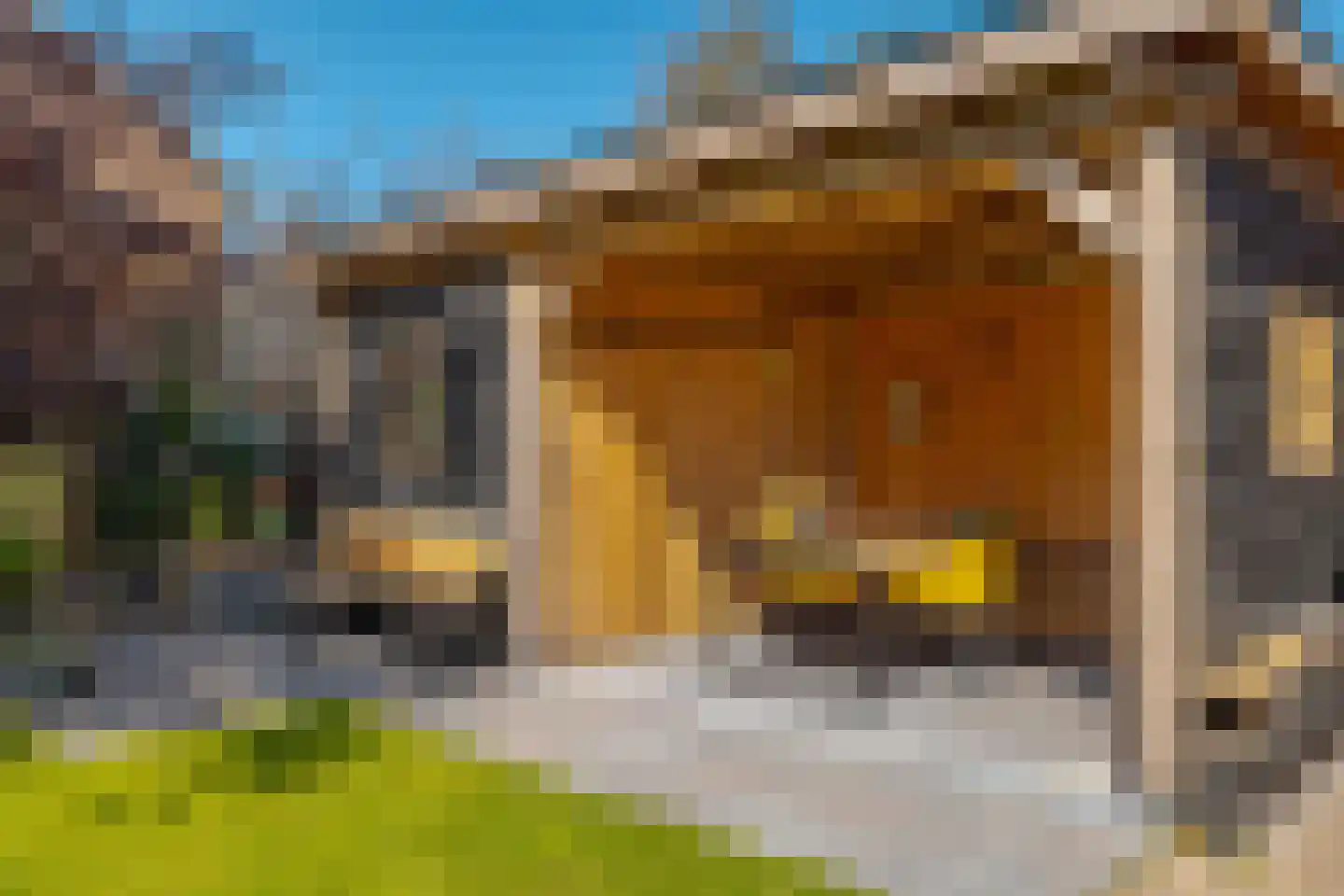 Vogelwikke 28 Roden thumbnail 46