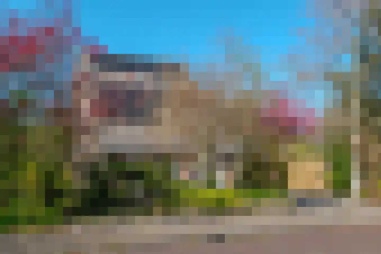 Vogelwikke 28 Roden thumbnail 5