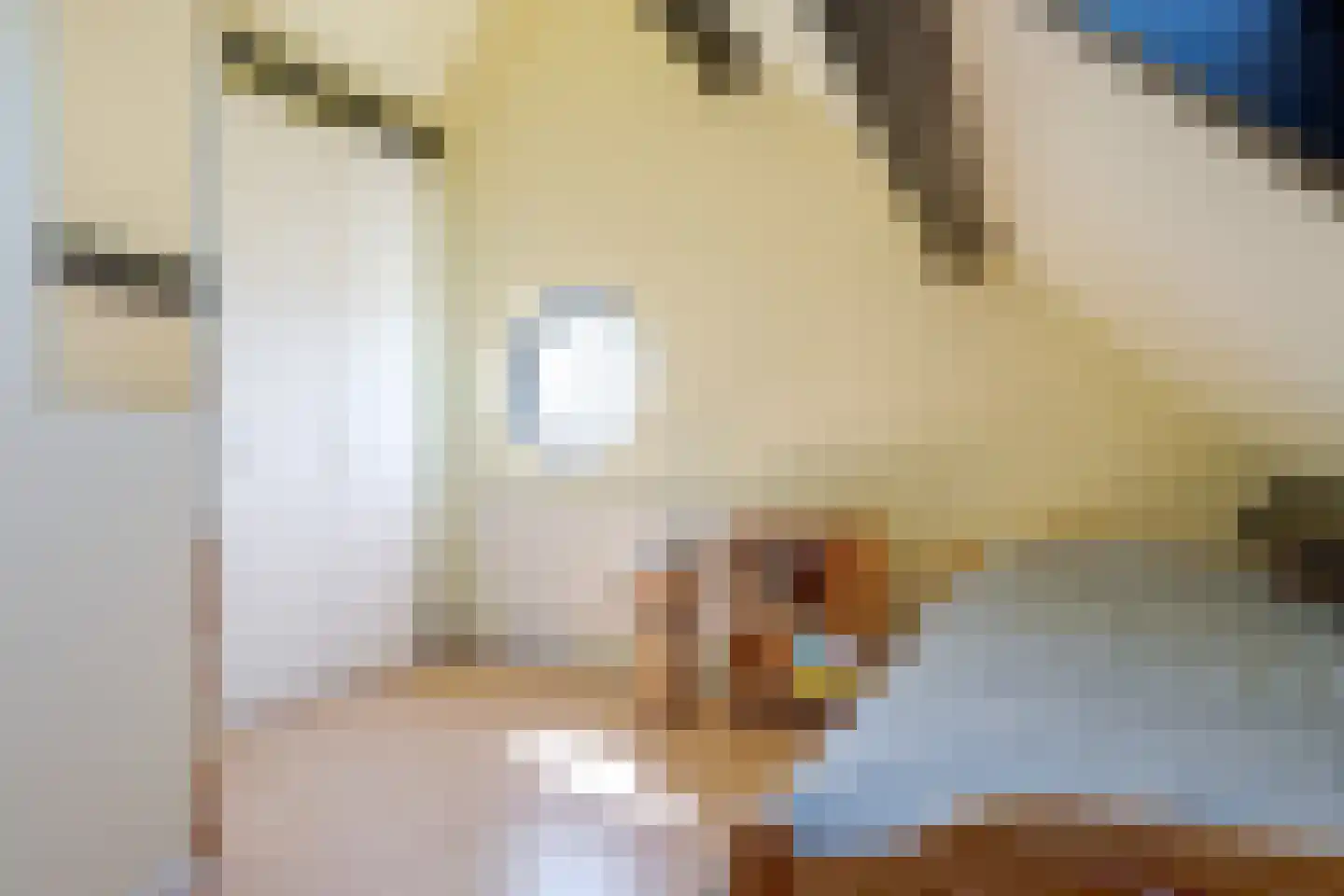 Vogelwikke 28 Roden thumbnail 51