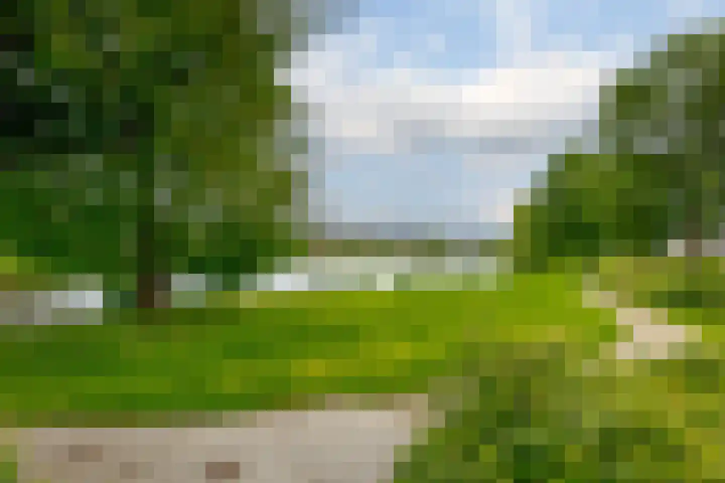 Vogelwikke 28 Roden thumbnail 54