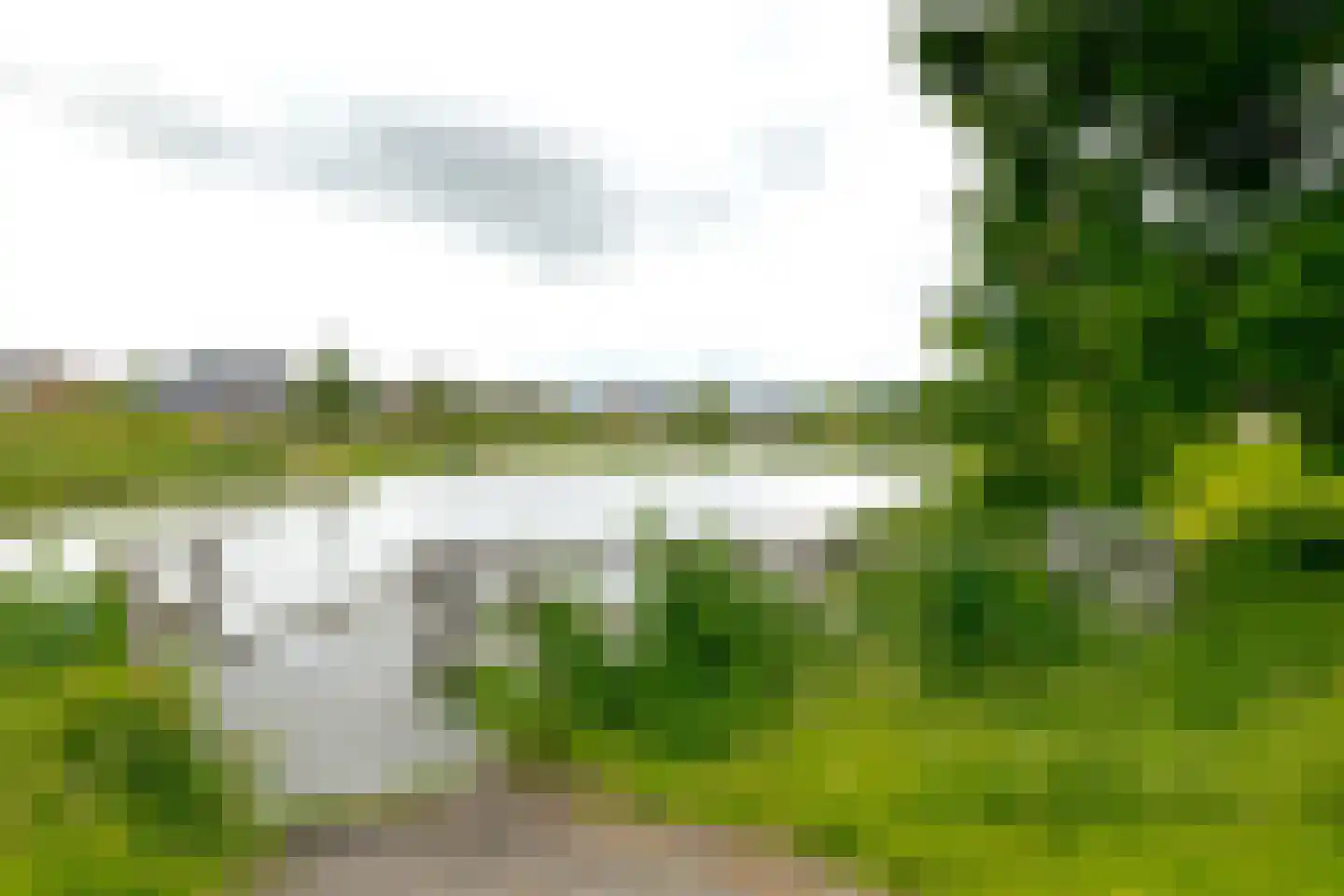 Vogelwikke 28 Roden thumbnail 55