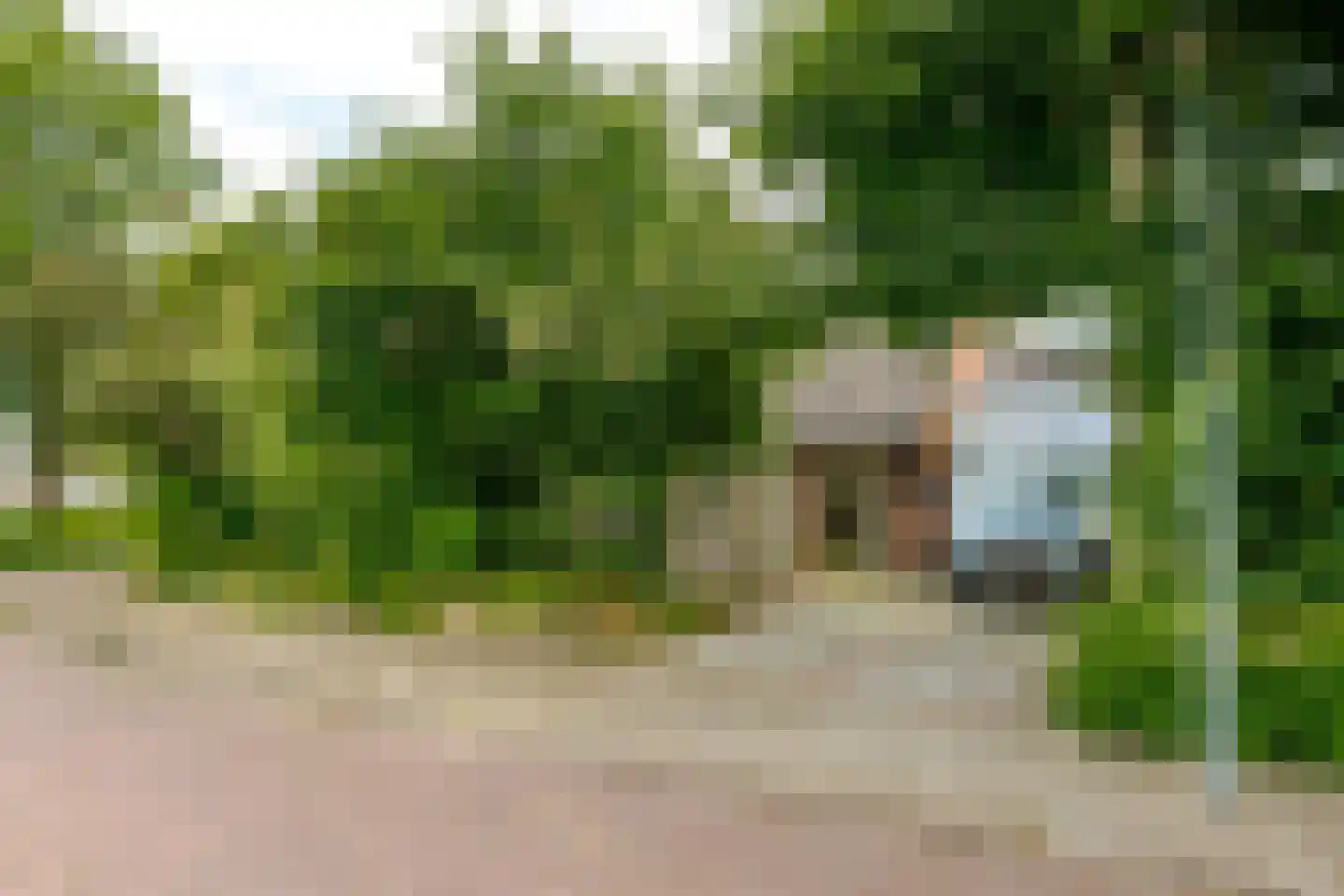 Vogelwikke 28 Roden thumbnail 55