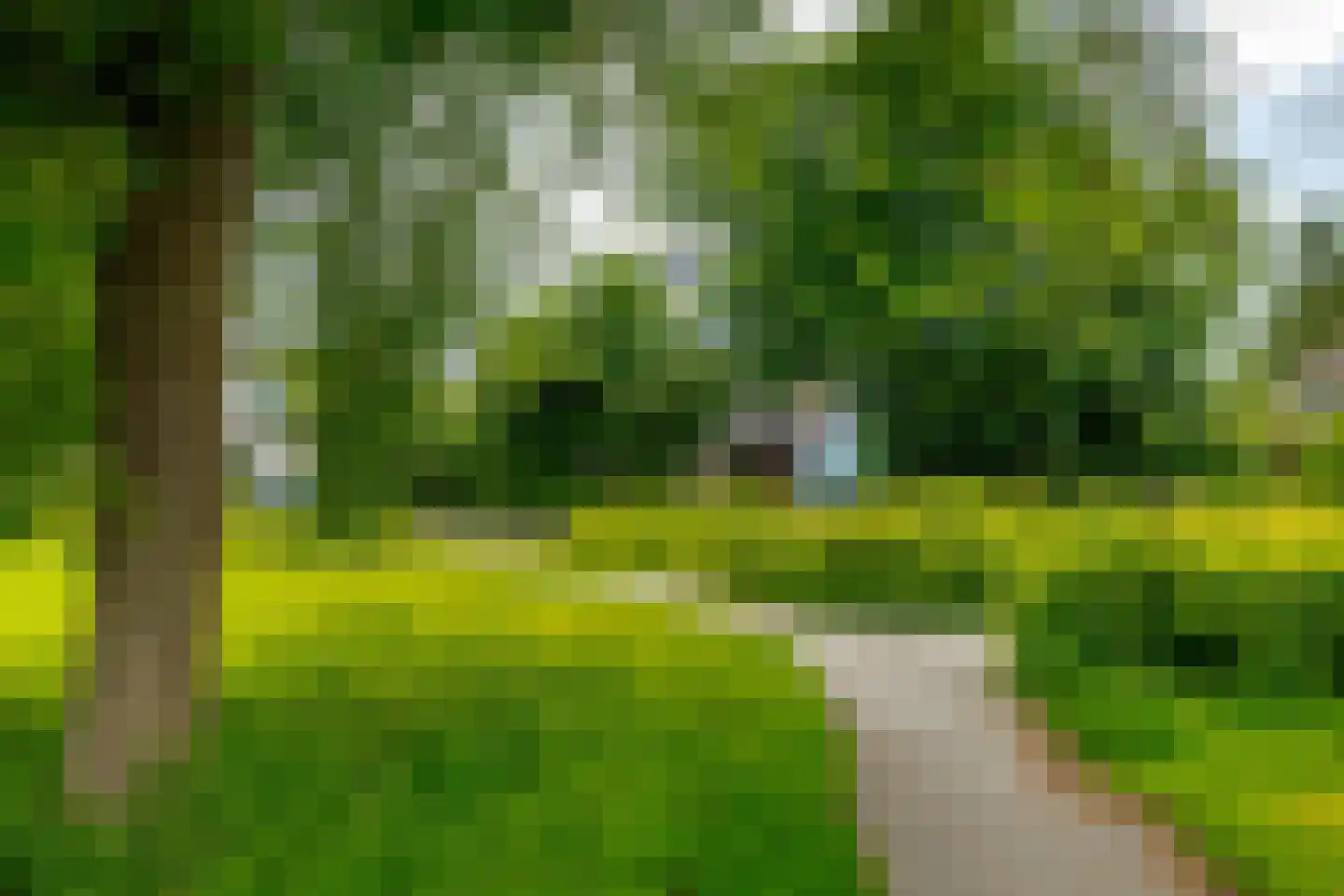 Vogelwikke 28 Roden thumbnail 56
