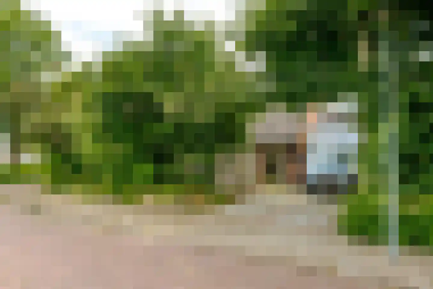 Vogelwikke 28 Roden thumbnail 57
