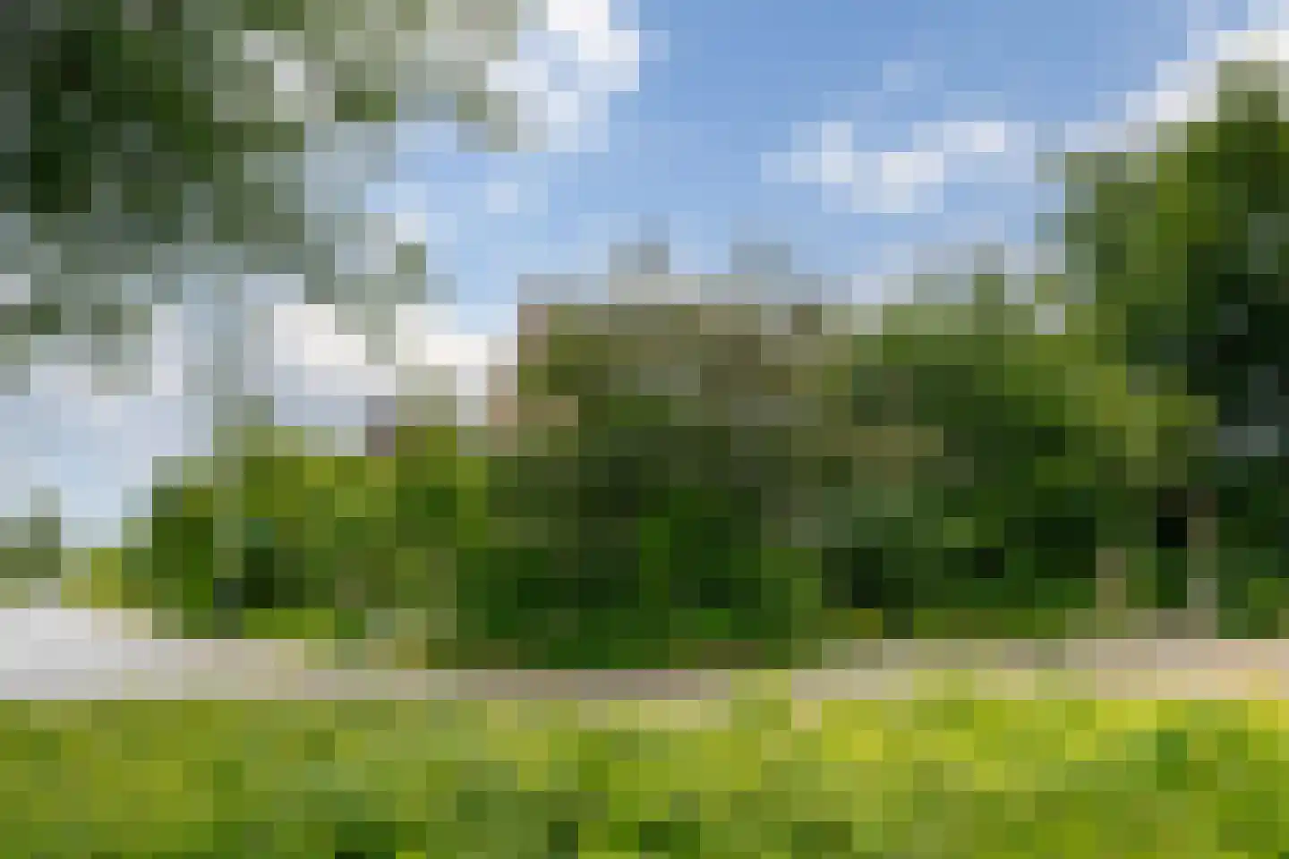 Vogelwikke 28 Roden thumbnail 58