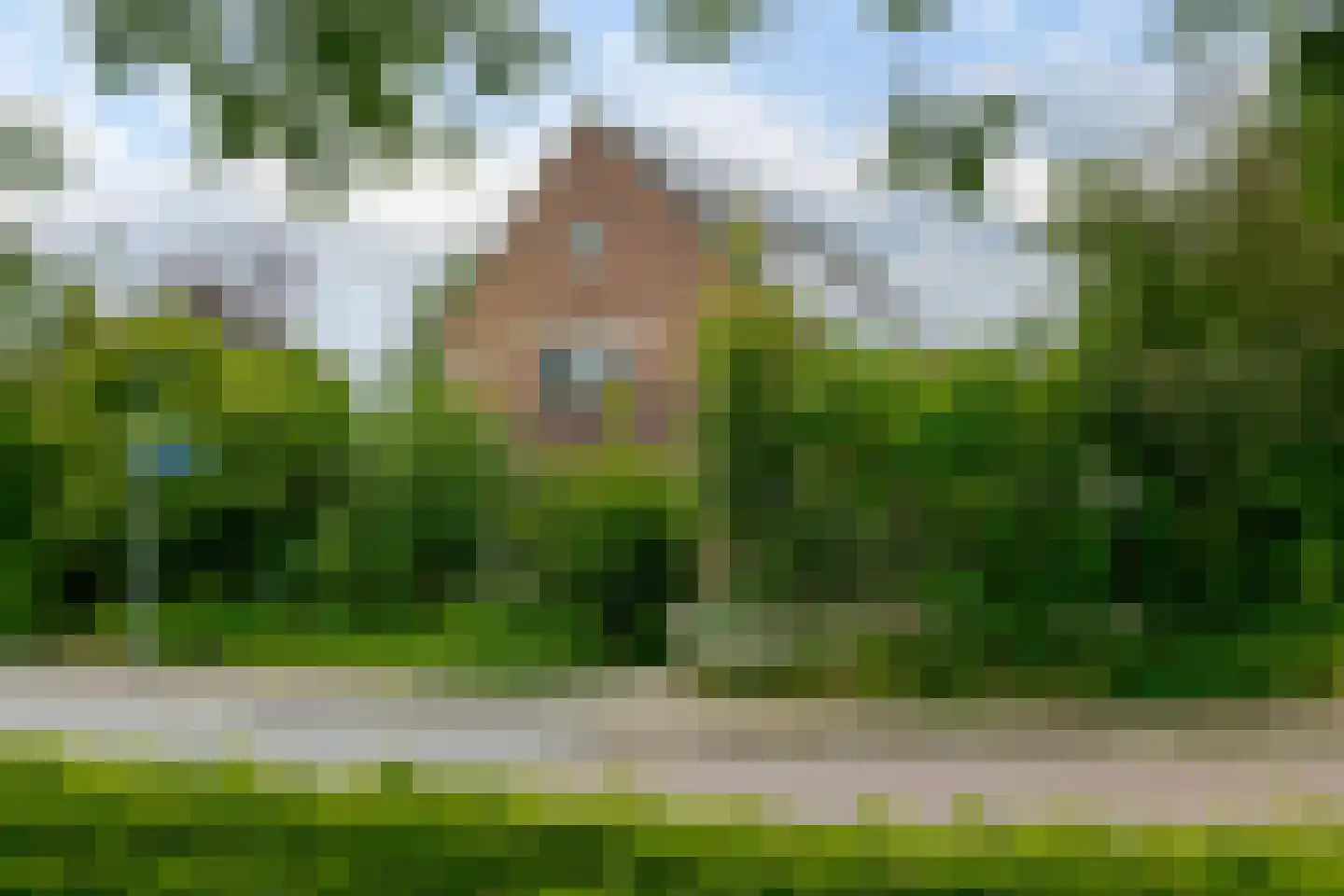 Vogelwikke 28 Roden thumbnail 6