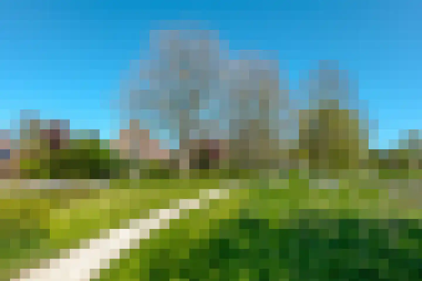 Vogelwikke 28 Roden thumbnail 6
