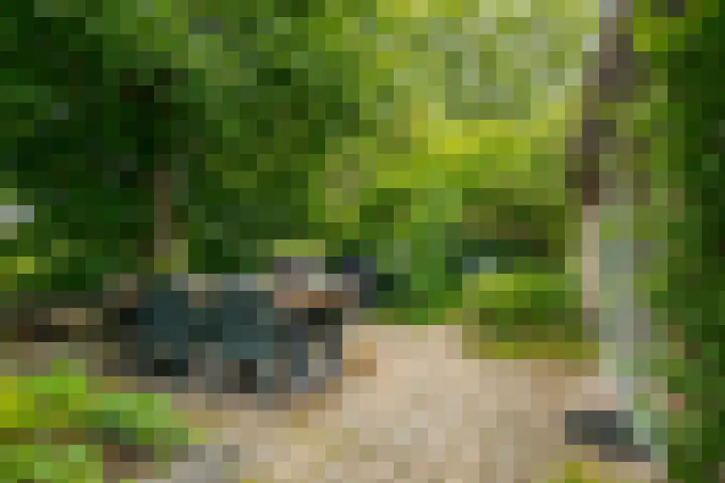Vogelwikke 28 Roden thumbnail 60