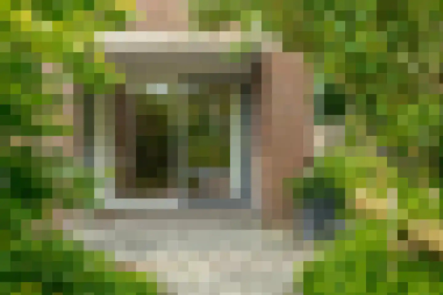Vogelwikke 28 Roden thumbnail 60