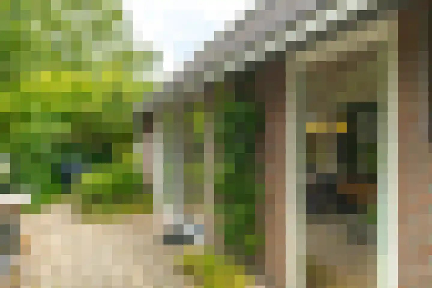Vogelwikke 28 Roden thumbnail 61