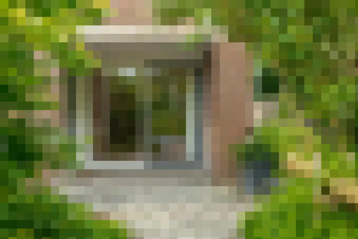 Vogelwikke 28 Roden thumbnail 62