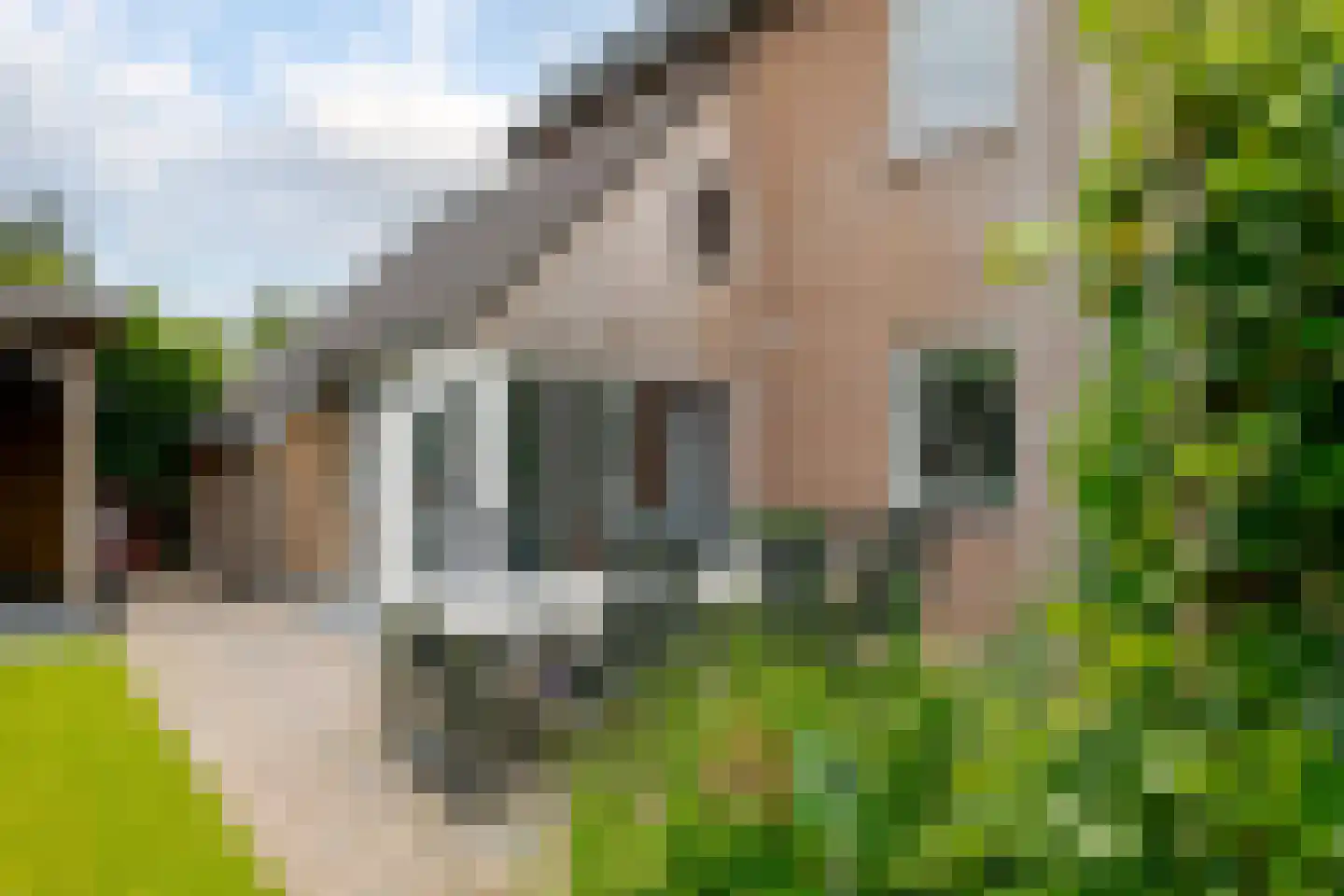 Vogelwikke 28 Roden thumbnail 63