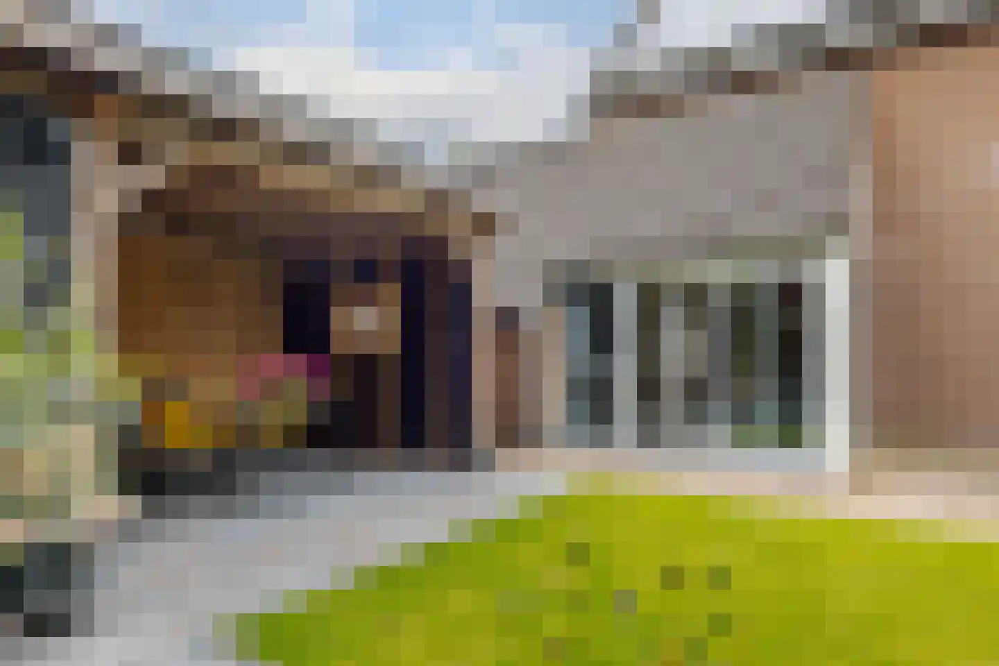 Vogelwikke 28 Roden thumbnail 64