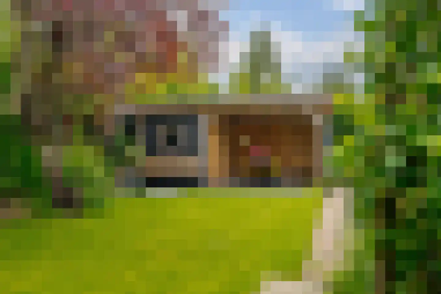 Vogelwikke 28 Roden thumbnail 65